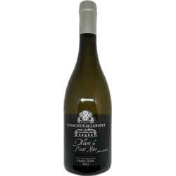 Blanc de Pinot Noir 2023
