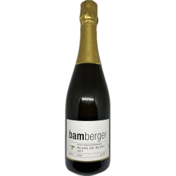 Blanc de Blanc Sekt Brut, 2021