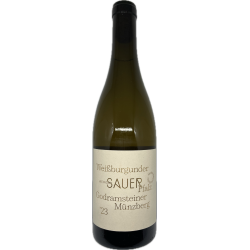 Weissburgunder Münzberg 2023