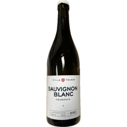 Sauvignon Blanc 2025